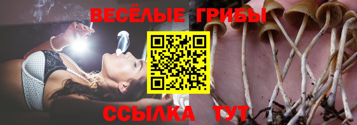 Ипатово  Псилоцибиновые грибы Psilocybine cubensis  Вход с VPN 